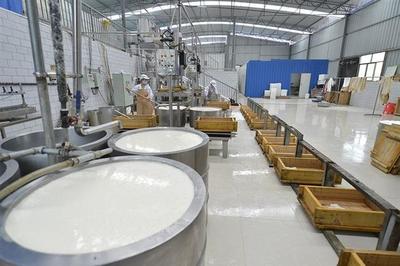 木匠轉(zhuǎn)行賣(mài)豆腐 匠心傳承，創(chuàng)業(yè)新篇